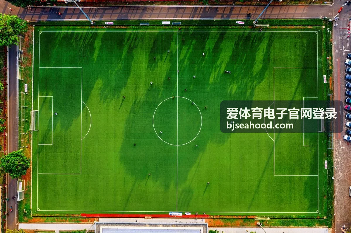 爱体育电子官网登录账号登录指南配图