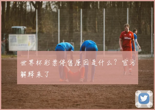 世界杯彩票停售原因是什么？官方解释来了